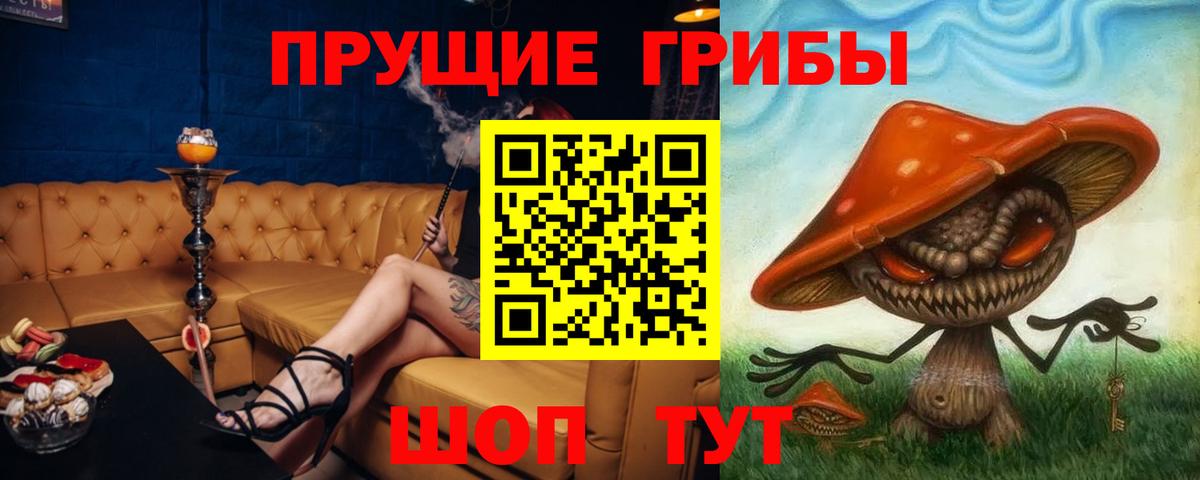 где можно купить наркотик  Галлюциногенные грибы GOLDEN TEACHER  Вход с VPN  Дербент 
